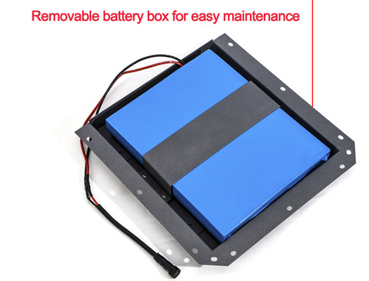 IP65 Solar Street Lighting Controller Certified with Motion Sensor
